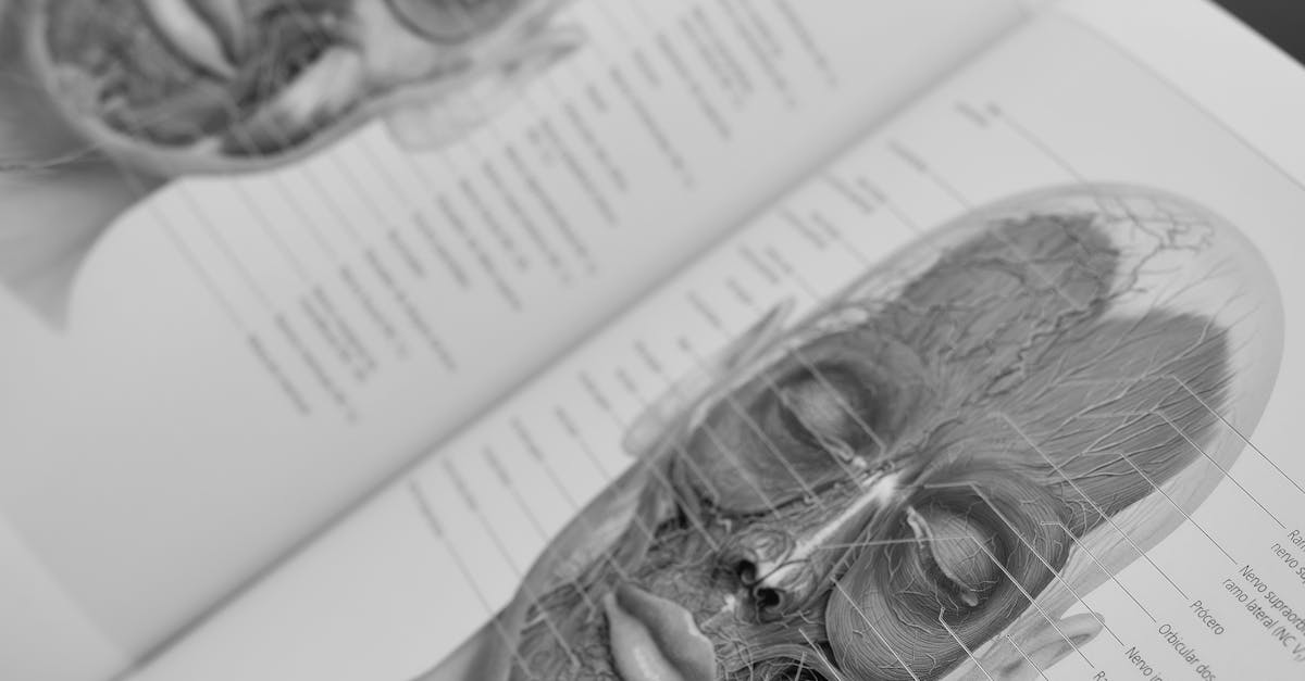 Why Omaha Hold’em is Fast Becoming the New Favourite Among Poker Aficionados