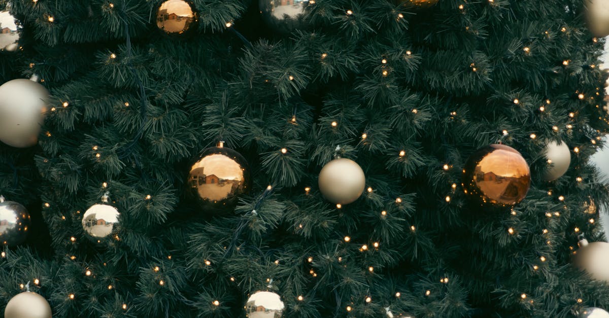 Breaking Records and Bridging Borders: Inside the APT Championship 2025’s Historic Success